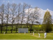 50. Cricket in the Cotswolds